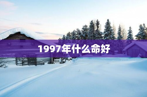 1997年什么命好