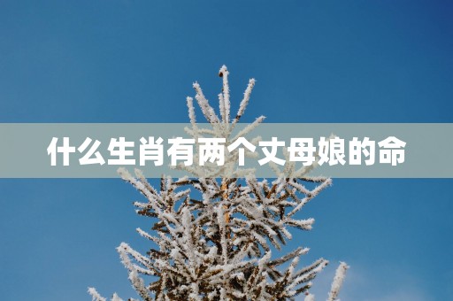 什么生肖有两个丈母娘的命