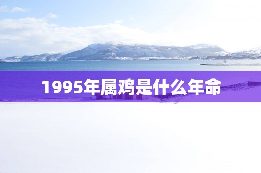 1995年属鸡是什么年命