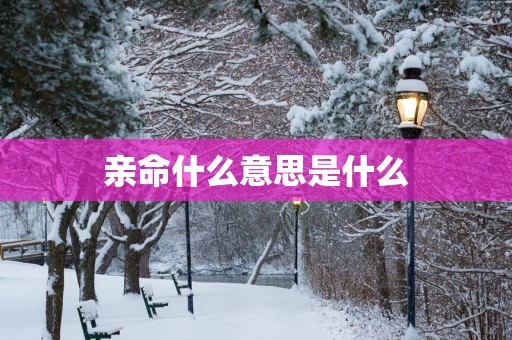 亲命什么意思是什么