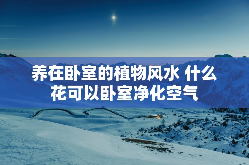 养在卧室的植物风水 什么花可以卧室净化空气