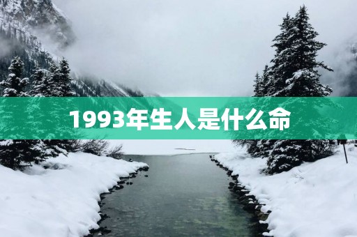 1993年生人是什么命