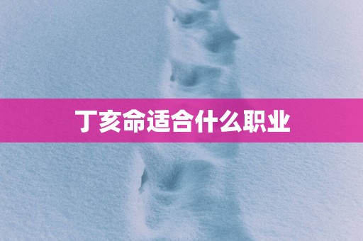 丁亥命适合什么职业