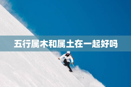 五行属木和属土在一起好吗