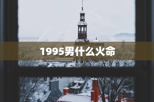 1995男什么火命