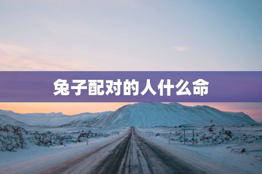 兔子配对的人什么命