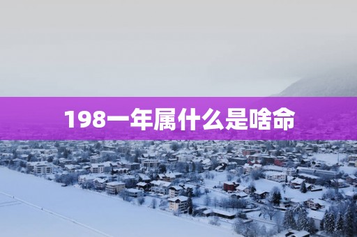 198一年属什么是啥命