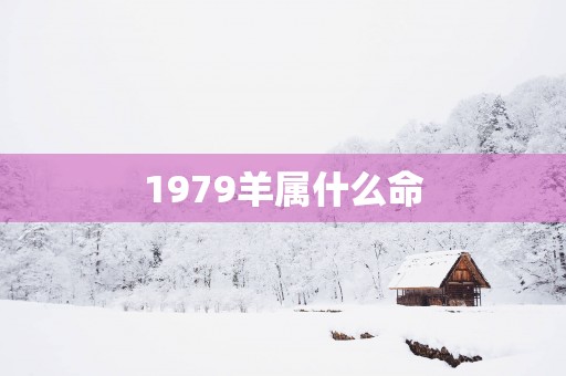 1979羊属什么命