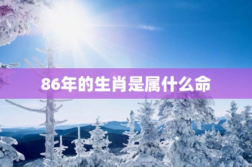 86年的生肖是属什么命