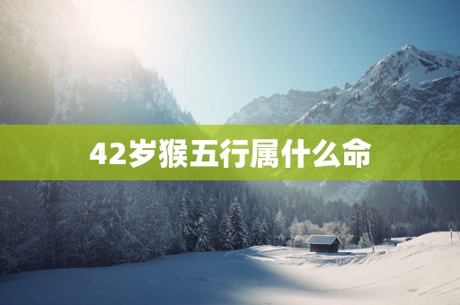 42岁猴五行属什么命