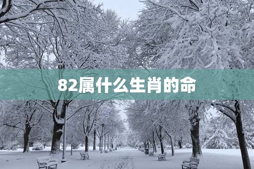 82属什么生肖的命