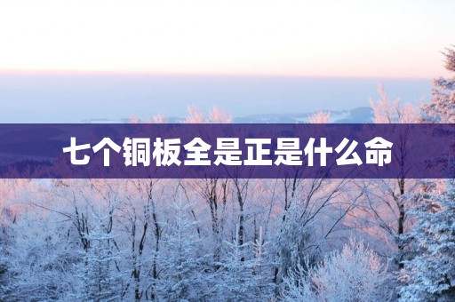七个铜板全是正是什么命