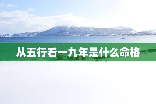 从五行看一九年是什么命格