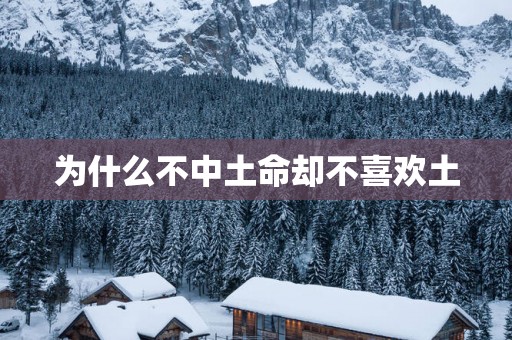 为什么不中土命却不喜欢土