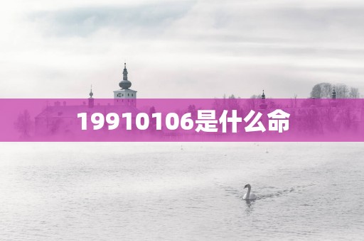 19910106是什么命