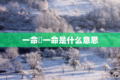 一命扺一命是什么意思