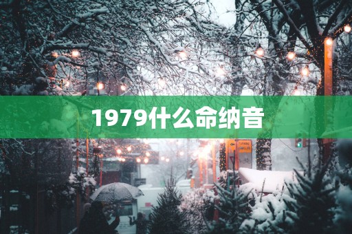 1979什么命纳音