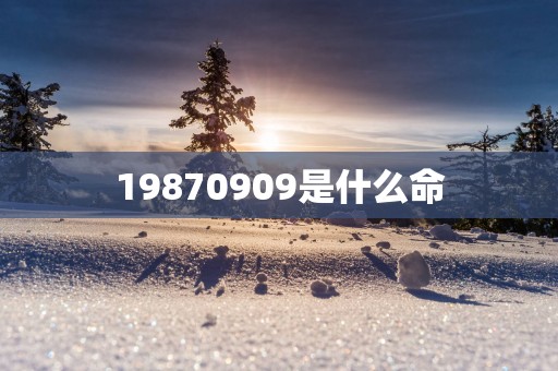 19870909是什么命