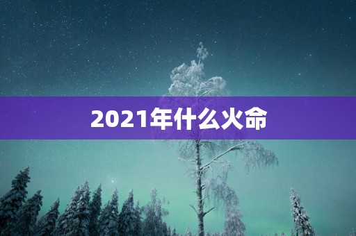 2025年什么火命