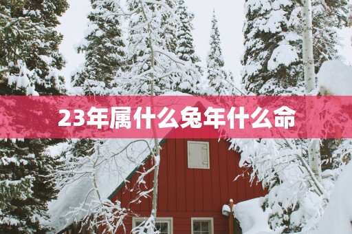 23年属什么蛇年什么命