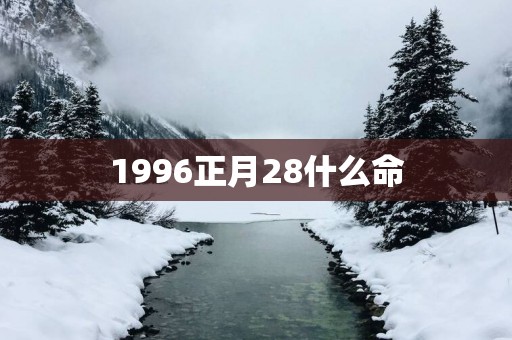 1996正月28什么命