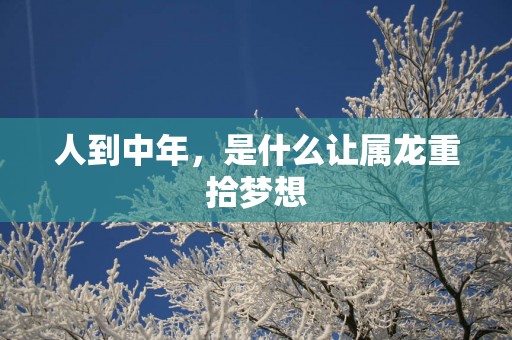 人到中年，是什么让属龙重拾梦想