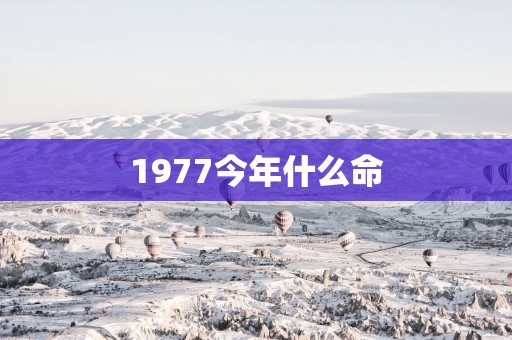 1977今年什么命