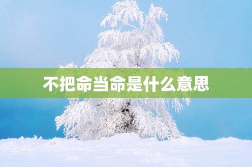 不把命当命是什么意思