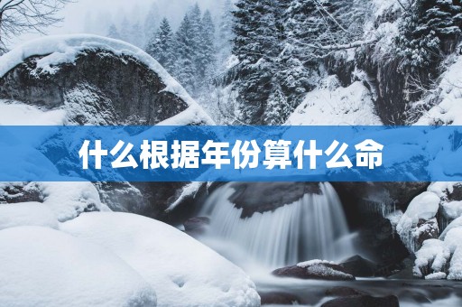 什么根据年份算什么命
