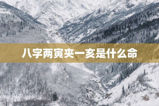 八字两寅夹一亥是什么命