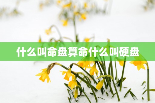 什么叫命盘算命什么叫硬盘