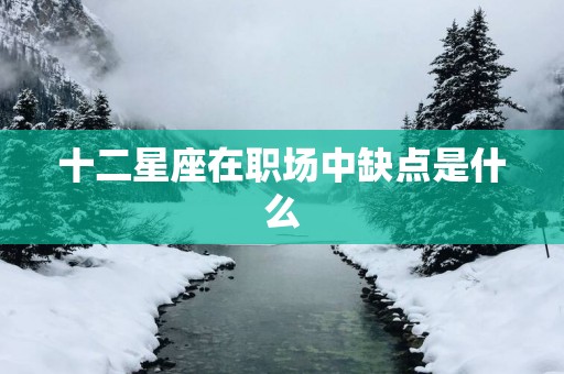 十二星座在职场中缺点是什么