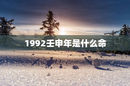 1992壬申年是什么命