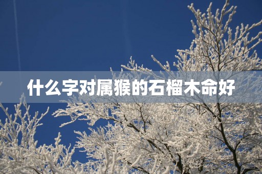 什么字对属猴的石榴木命好