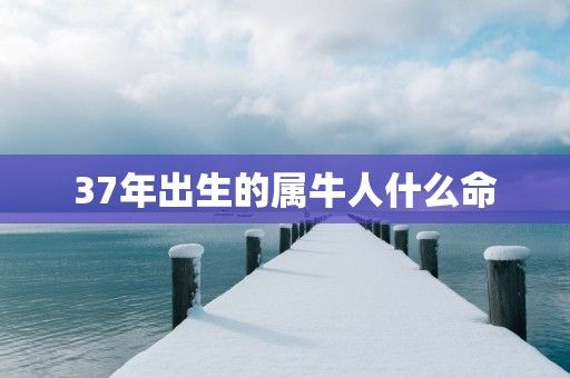 37年出生的属牛人什么命