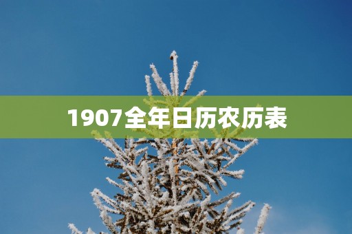 1907全年日历农历表