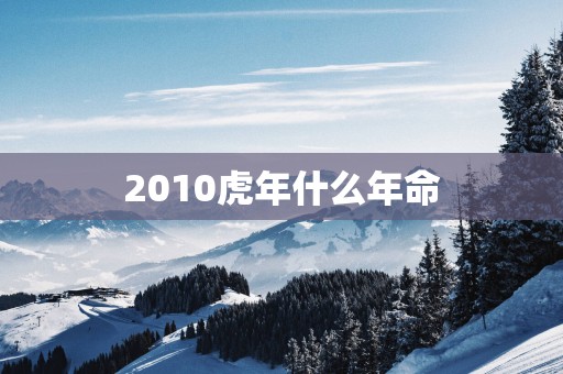 2010蛇年什么年命