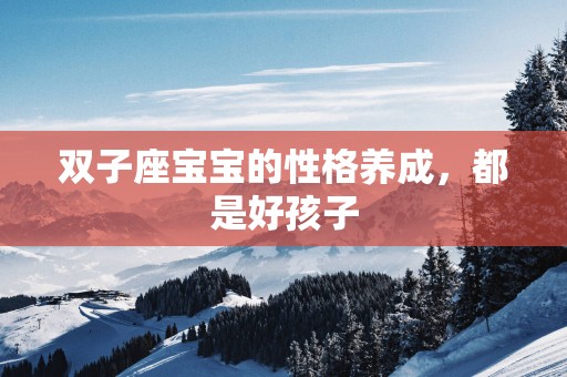 双子座宝宝的性格养成，都是好孩子