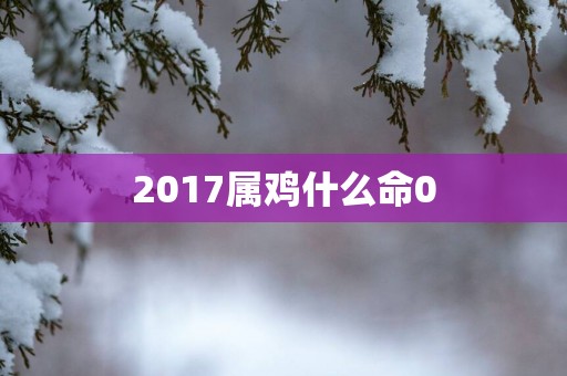 2017属鸡什么命0