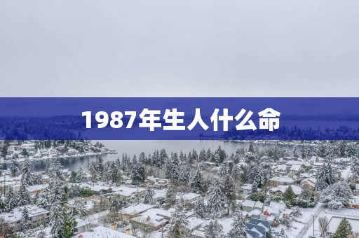 1987年生人什么命