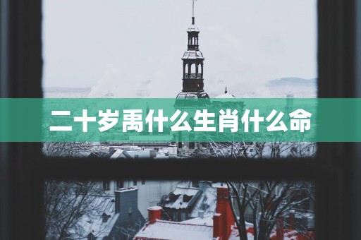 二十岁禹什么生肖什么命