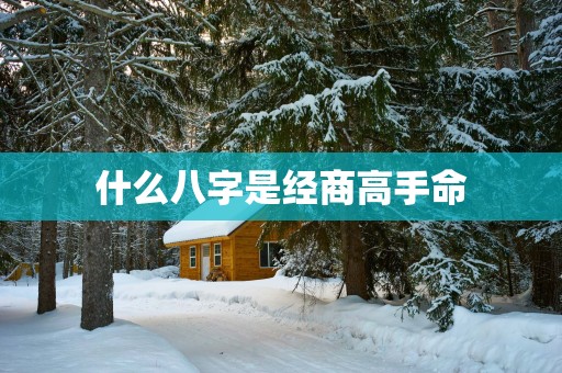 什么八字是经商高手命
