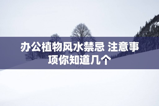 办公植物风水禁忌 注意事项你知道几个