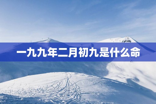 一九九年二月初九是什么命