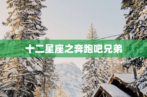 十二星座之奔跑吧兄弟