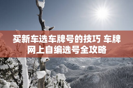 买新车选车牌号的技巧 车牌网上自编选号全攻略