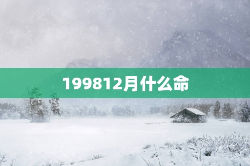 199812月什么命