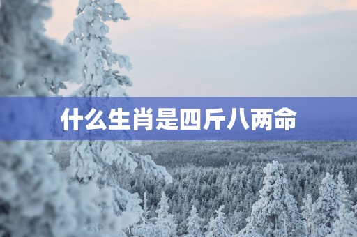 什么生肖是四斤八两命
