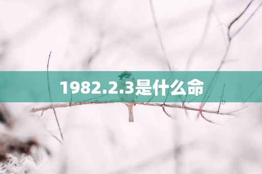 1982.2.3是什么命