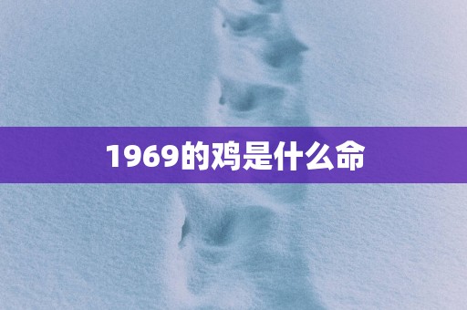 1969的鸡是什么命